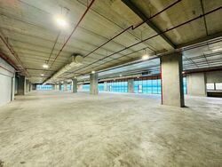 Suites 123 (D8), Warehouse #575776261